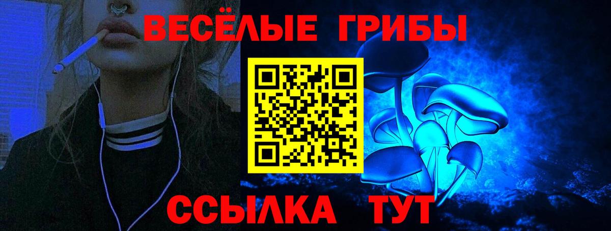 Галлюциногенные грибы Cubensis Конаково